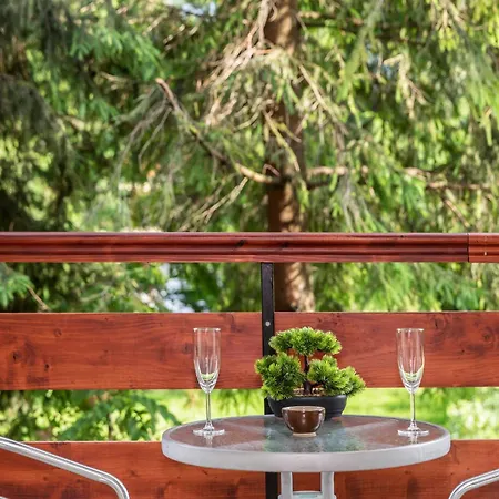 Tatrytop Pod Lipkami * זקופאנה