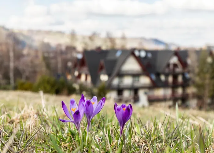 Tatrytop Pod Lipkami * Zakopane