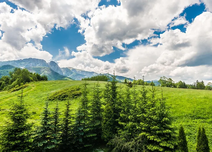 Tatrytop Pod Lipkami