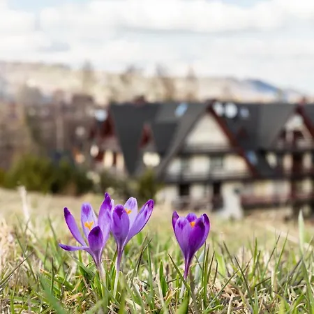 Tatrytop Pod Lipkami * Zakopane